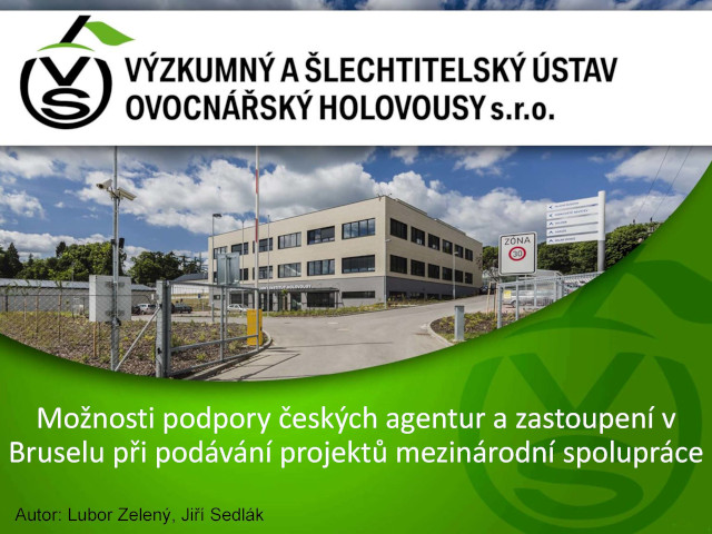 Možnosti podpory českých agentur a zastoupení v Bruselu při podávání projektů mezinárodní spolupráce